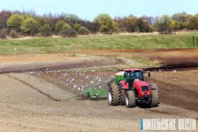 В Витебской области посеяно 38% от плана зерновых и зернобобовых