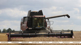 Belarus’ grain harvest past 7.7m tonnes