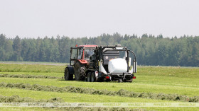 Nearly 84% of grasses harvested in Belarus